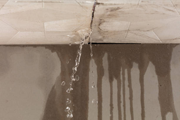 Professional Flood Damage Cleanup technician working in Harlem, FL